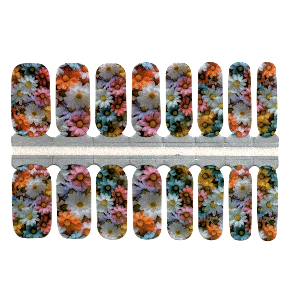 Pastel Colorful Flowers Daisies