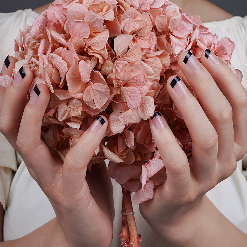 Pointe française noire avec fond transparent clair