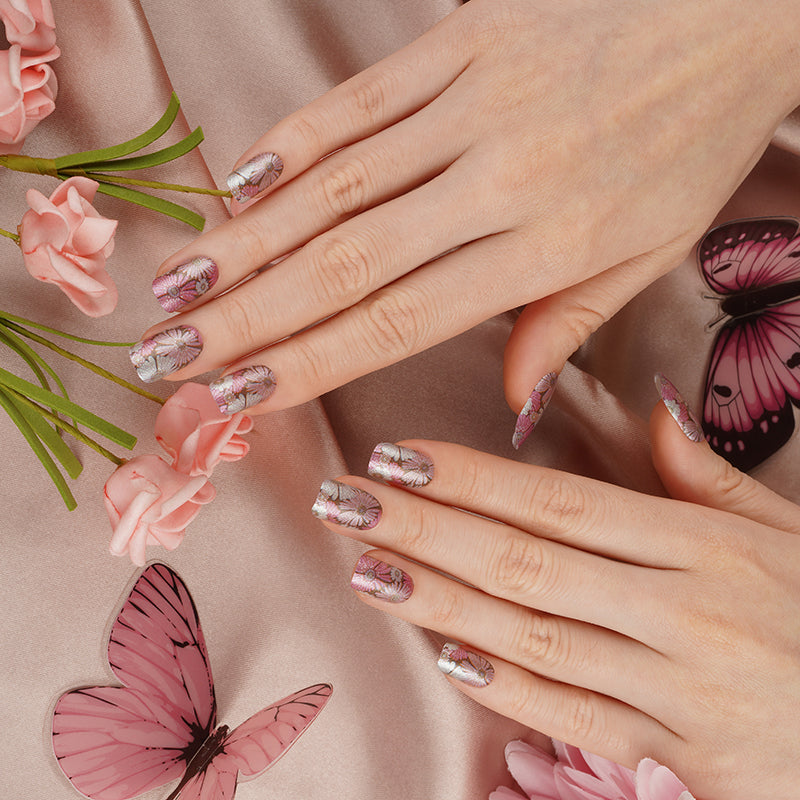 Pink White Flowers Daisies Shimmer