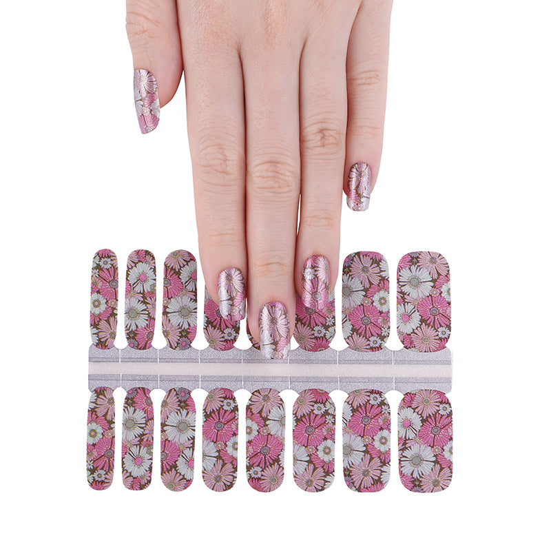 Pink White Flowers Daisies Shimmer