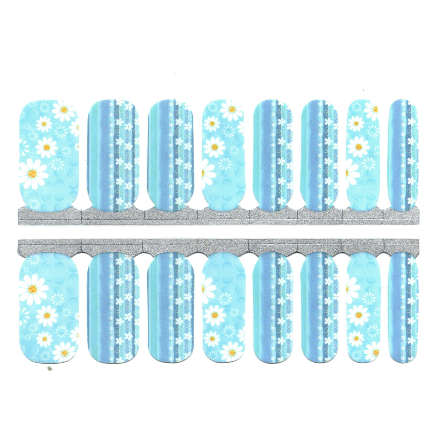 Blue and White Daisies Flowers, Chamomile, Summer