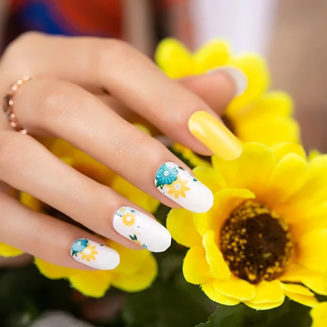 Yellow and Teal Aqua Green Flowers Daisies with White Background