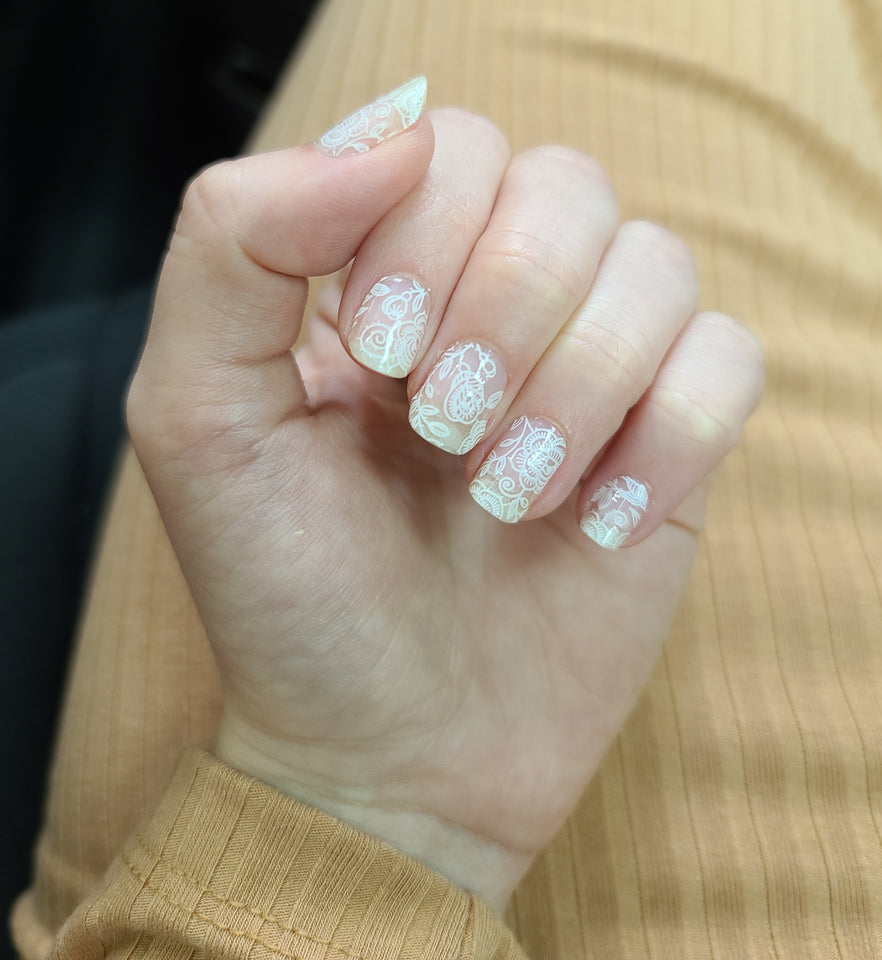 White Floral Lace with Leaves with Clear Background Overlay