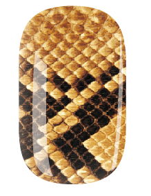 Imprimé peau de serpent marron et noir