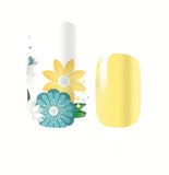 Yellow and Teal Aqua Green Flowers Daisies with White Background