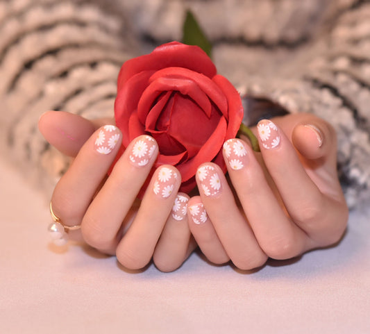 White Daisies Chamomile Flowers with Gold Glitter Middles Overlay Clear Background